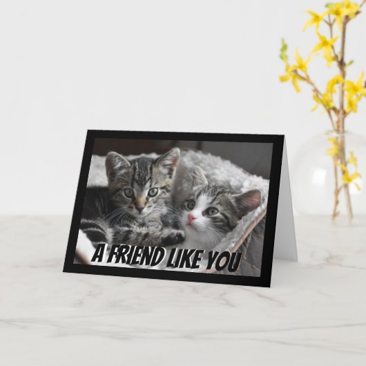 Ein Freund wie Sie Niedlich Kätzchen Katze Tier Karte (Gelbe Blume)