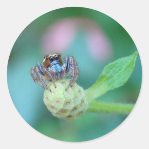 Ein Freund zum Jumping Jack! Runder Aufkleber