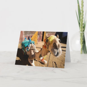 Ein freundliches Kamel erwartet seinen folgenden Karte