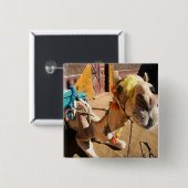 Ein freundliches Kamel erwartet seinen nächsten Fa Button (Vorne & Hinten)