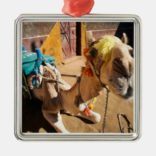 Ein freundliches Kamel erwartet seinen nächsten Fa Silbernes Ornament