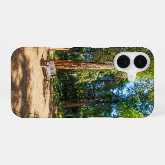 Ein friedlicher Fußweg zum Descanso Gardens iPhone 16 Hülle (Rückseite (Horizontal))