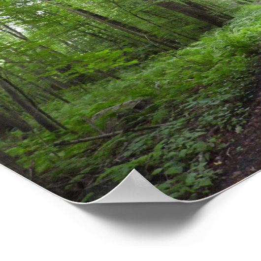 Ein Friedlicher Spaziergang im Wald Poster (Ecke)