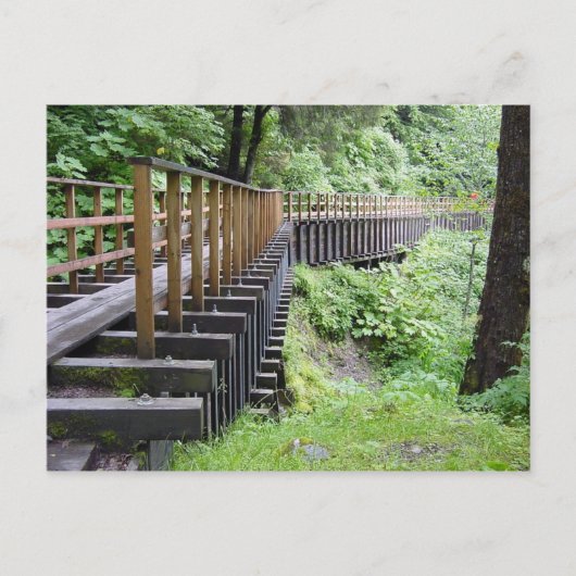 Ein Friedlicher Spaziergang Postkarte (Vorderseite)