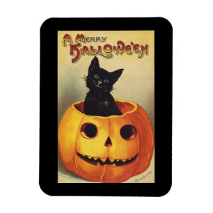 Ein frohes Halloween, eine Vintage Schwarze Katze  Magnet