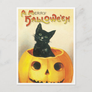Ein fröhliches Halloween Feiertagspostkarte