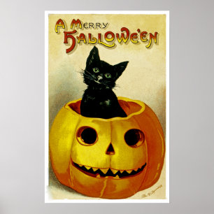 Ein fröhliches Halloween-Kätzchen Poster
