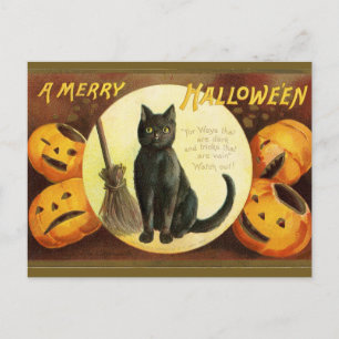 Ein fröhliches Halloween Schwarze Katze Kürbisse V Postkarte