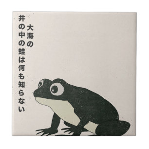 Ein Frosch in einem Brunnen weiß nichts vom großen Fliese