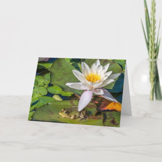 Ein Frosch unter einer Nnuphar-Blüte Karte (Vorderseite)