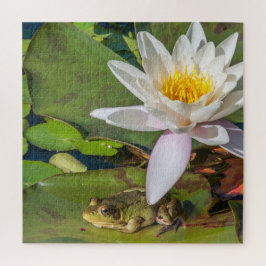 Ein Frosch unter einer Nnuphar-Blüte Puzzle
