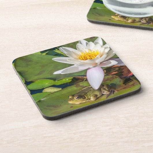 Ein Frosch unter einer Nnuphar-Blüte Untersetzer (Linke Seite)