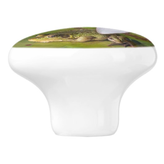 Ein Frosch unter einer Seeroseblume Keramikknauf (Seitenansicht)