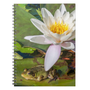 Ein Frosch unter einer Seeroseblume Notizblock