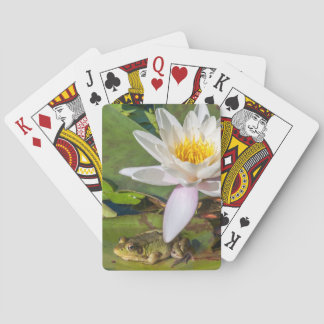 frosch spiele frosch spiele