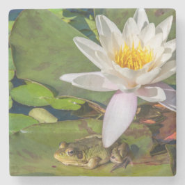 Ein Frosch unter einer Seeroseblume Steinuntersetzer