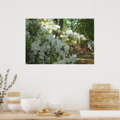 Ein Frühlingsspaziergang Poster (Küche)