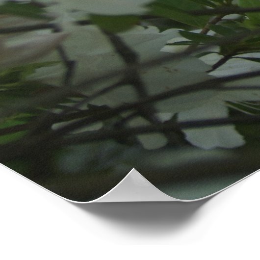 Ein Frühlingsspaziergang Poster (Ecke)