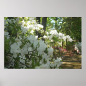 Ein Frühlingsspaziergang Poster (Vorne)