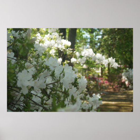 Ein Frühlingsspaziergang Poster (Vorne)