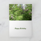 Ein Frühlingstracht Karte (Innenseite)