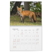 Ein Fuchs namens Dot. Kalender (Feb 2027)