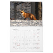 Ein Fuchs namens Dot. Kalender (Jan 2027)