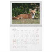 Ein Fuchs namens Dot. Kalender (Mär 2027)