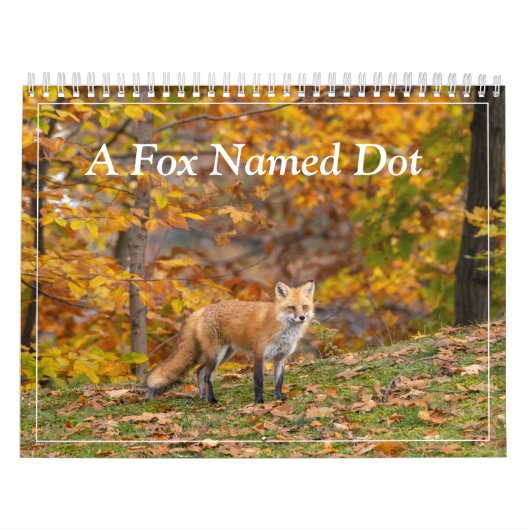 Ein Fuchs namens Dot. Kalender (Titelbild)