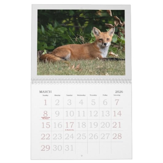 Ein Fuchs namens Dot. Kalender (Mär 2026)