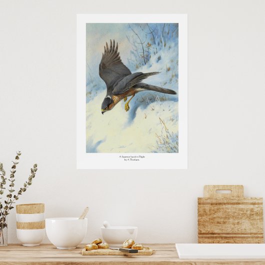 Ein Funkenhawk im Flug Poster (Küche)