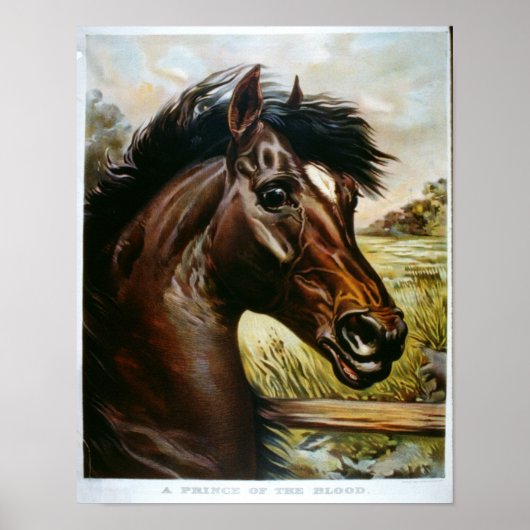 Ein Fürst des Blutes Poster (Vorne)