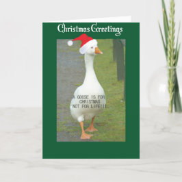 Ein Gänse ist zu Weihnachten Nicht für Leben Weihn