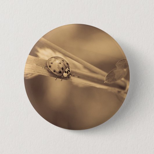 ein ganzer Sommer Button (Vorderseite)