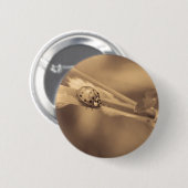 ein ganzer Sommer Button (Vorne & Hinten)