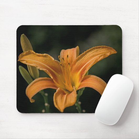 Ein Garden Delight Mousepad (Mit Mouse)