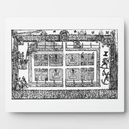 Ein Garten, aus dem Labyrinth des Gärtners, 1577 ( Fotoplatte (Vorderseite)