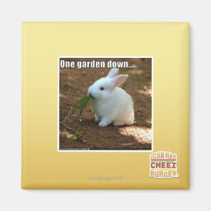 Ein Garten Down� Magnet