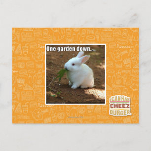 Ein Garten Down� Postkarte