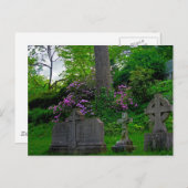 Ein Garten Erholung PostCard Postkarte (Vorne/Hinten)