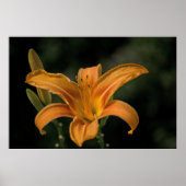 Ein Garten Freude Print Poster (Vorne)