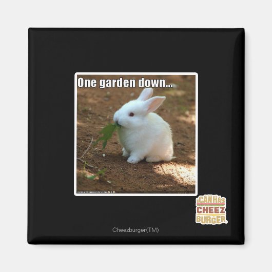 Ein Garten � Magnet (Vorne)