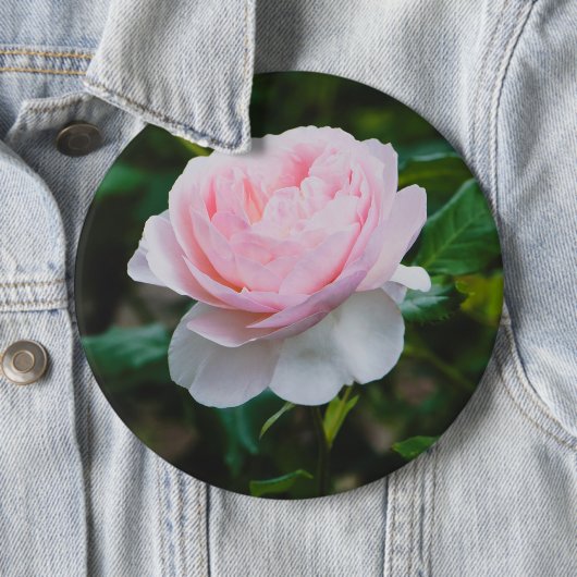 Ein Garten mit Rose Button (Beispiel)