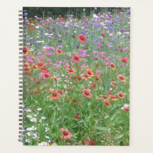 Ein Garten mit Wildblumen Planer