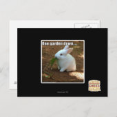 Ein Garten � Postkarte (Vorne/Hinten)