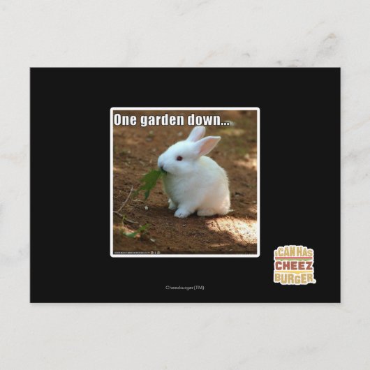 Ein Garten � Postkarte (Vorderseite)