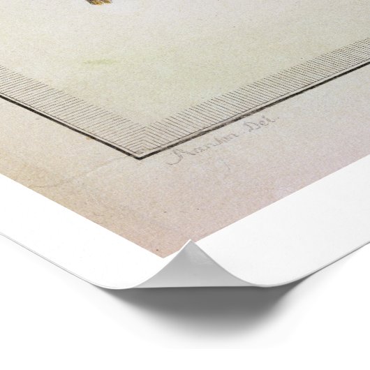 Ein Gartentextil-Design aus "Oeuvre contenant u Poster (Ecke)