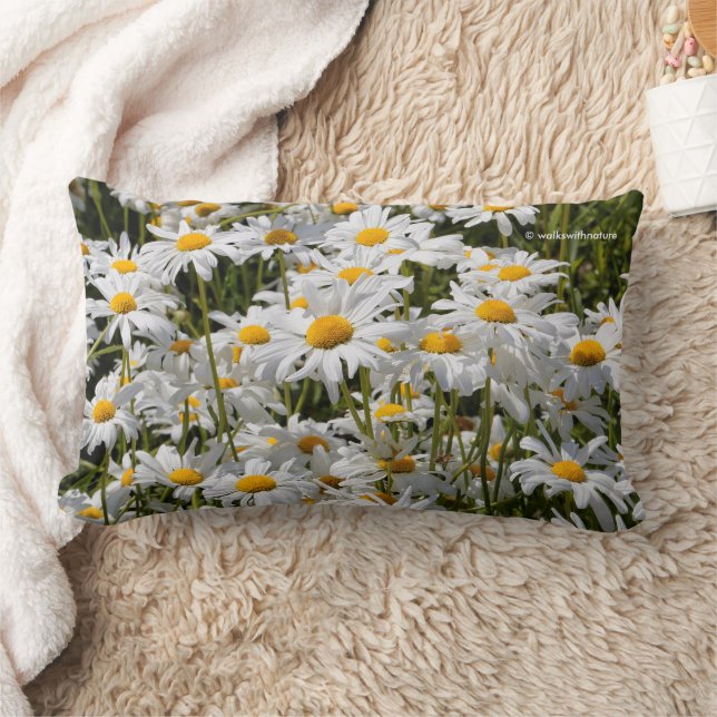 Ein Gebiet der Oxeye Daisies Lendenkissen (Decke)