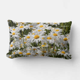 Ein Gebiet der Oxeye Daisies Lendenkissen