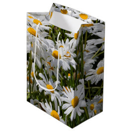 Ein Gebiet der Oxeye Daisies Mittlere Geschenktüte